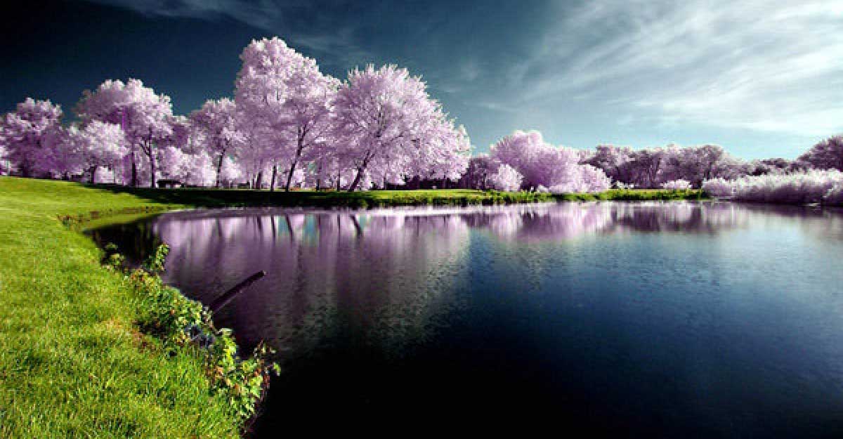 <span>নিউজ  টেন / </span>প্রাইম আইটি ওয়ার্ল্ড নিউজ-২৪ ডেমো নিউজ  টেন