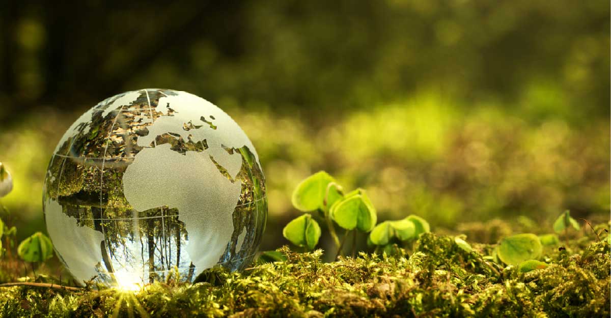 <span> নিউজ  নাইন / </span>প্রাইম আইটি ওয়ার্ল্ড নিউজ-২৪ ডেমো নিউজ  নাইন