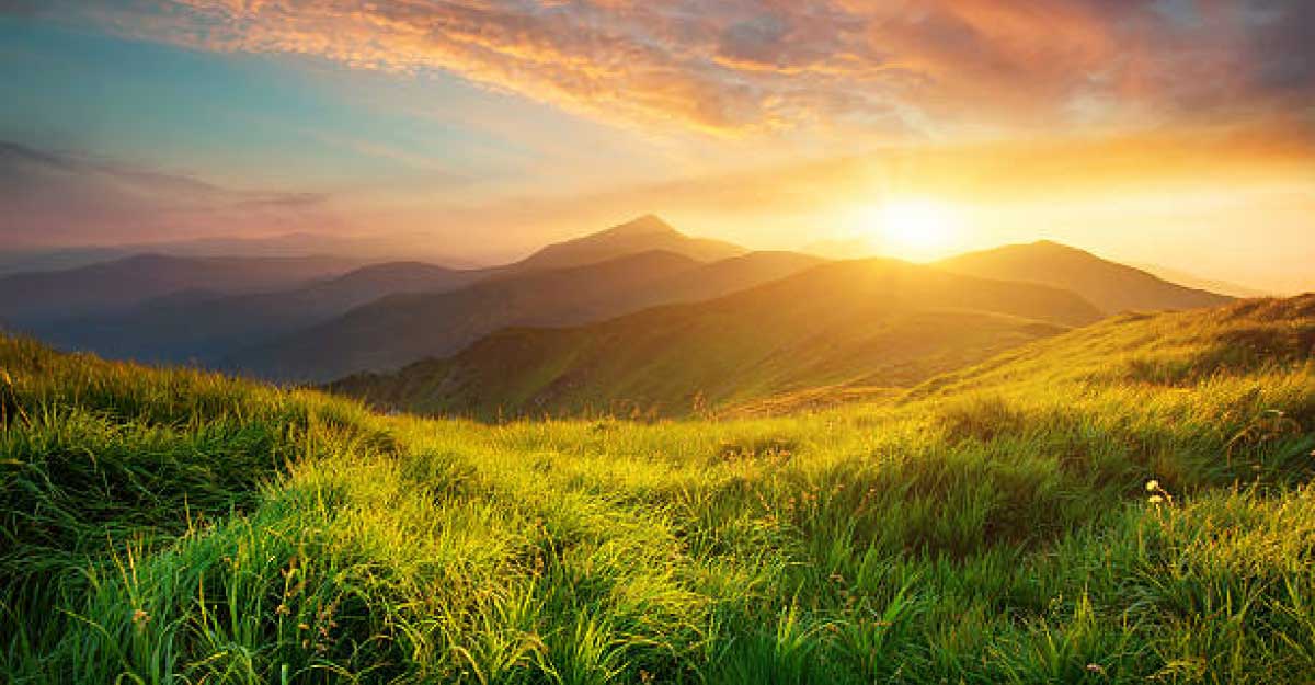 <span>নিউজ  সিক্স / </span>প্রাইম আইটি ওয়ার্ল্ড নিউজ-২৪ ডেমো নিউজ  সিক্স