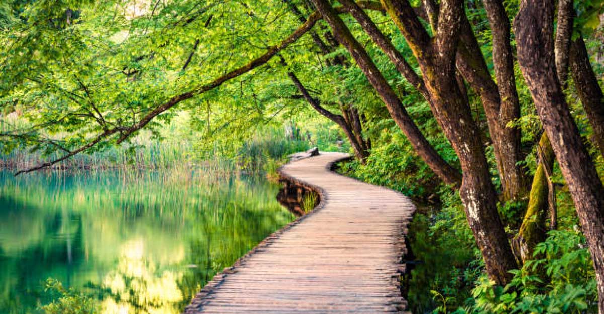 <span>নিউজ  ফাইভ / </span>প্রাইম আইটি ওয়ার্ল্ড নিউজ-২৪ ডেমো নিউজ  ফাইভ