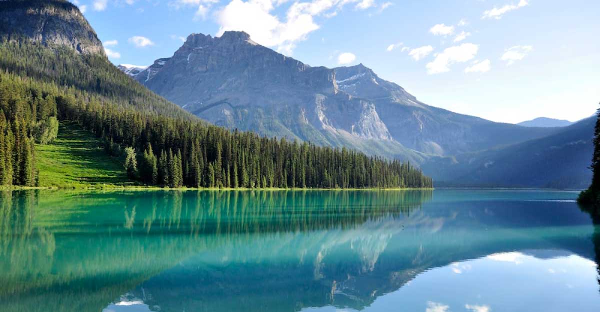 <span>নিউজ  ফোর / </span>প্রাইম আইটি ওয়ার্ল্ড নিউজ-২৪ ডেমো নিউজ  ফোর